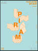P.I.R.A.M  피램 수능 국어 2022 - 생각 워크북 문학편 (2021년)