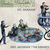 Gil Shaham 베토벤 / 브람스: 바이올린 협주곡 (Beethoven: Violin Concerto Op.61 / Brahms: Violin Concerto Op.77)