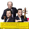 Denis Pascal 슈베르트: 피아노 트리오 1, 2번 (Schubert: Trio en Si-Bemol Majeur pour piano et cordes Op.99 D.898, Op.100 D.929)
