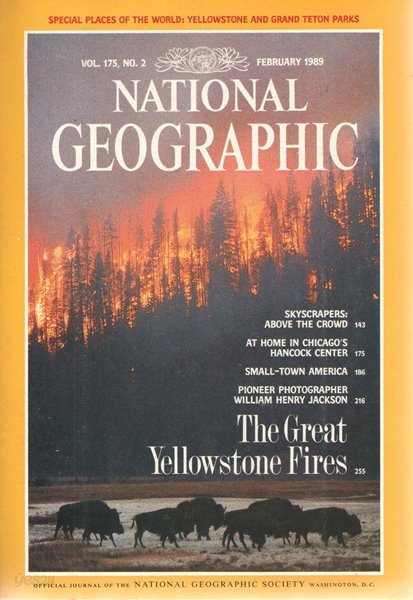 [수입] National Geographic Vol. 175, No. 2-6, Vol. 176, No. 1-6. 내셔널 지오그래픽 1989년 2월-12월 총11권 1월호 없음