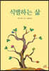 식별하는 삶