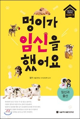 멍이가 임신을 했어요