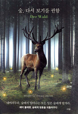 숲, 다시 보기를 권함