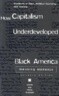 How Capitalism Underdeveloped Black America: Problems in Race, Political Economy, and Society (Updated Edition)
