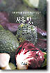 서울 맛, 뉴욕 멋