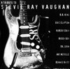 A Tribute To Stevie Ray Vaughan  - V.A (US반)