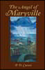 The Angel of Maryville: Book I: The Rain of Blood, Book II: Heaven's Gate-Shark Bait, Book III: The Music Within, Book IV: New Years Fears, Tears and