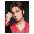 NCT 보석십자수 JISUNG 지성 큐빅 비즈 40X50