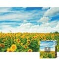 1000피스 목재 직소퍼즐  해바라기 들판 PW1018
