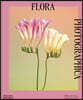 Flora Photographica: The Flower in Contemporary Photography