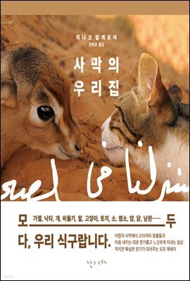 사막의 우리집
