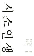 시소 인생