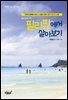 필리핀에서 살아보기