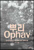 뿌리
