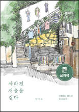 사라진 서울을 걷다 (큰글자책)