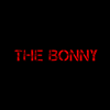 Gerry Cinnamon - Bonny (LP)