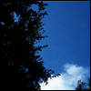 Cloud Nothings - Turning On (LP)