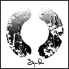 Sigur Ros - () (2LP)