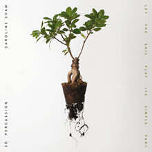 So Percussion 캐롤라인 쇼: 작품집 (Caroline Shaw: Let The Soil Play Its Simple Part) [투명 컬러 LP]
