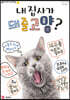 내 집사가 돼줄고양?