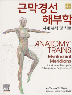 근막경선 해부학