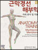 근막경선 해부학