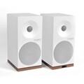 Tangent Audio SPECTRUM X5 BT 다담 정품 /블루투스 스피커