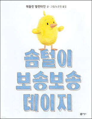 솜털이 보송보송 데이지