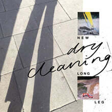 Dry Cleaning (드라이 클리닝) - New Long Leg [LP]