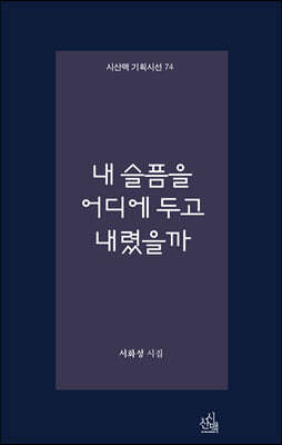 내 슬픔을 어디에 두고 내렸을까