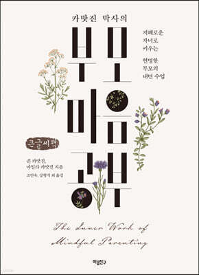 카밧진 박사의 부모 마음공부 (큰글씨책)