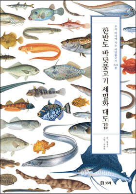 한반도 바닷물고기 세밀화 대도감