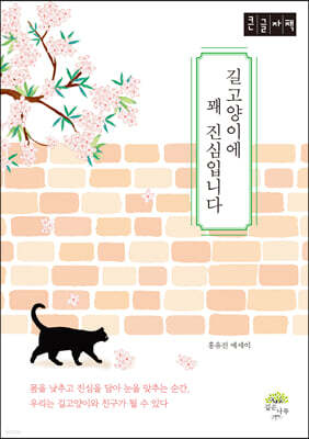 길 고양이에 꽤 진심입니다 (큰글자책)