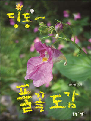 딩동~ 풀꽃도감