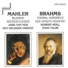 Jard Van Nes 말러: 꽃의 노래, 뤼케르트 가곡 (Mahler: Blumine, Ruckertlieder)