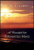 A Beautiful But Tormented Mind