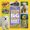 National Geographic Little Kids First Big Book of Baby Animals