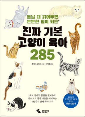 진짜 기본 고양이 육아 285 