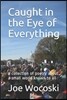 Caught in the Eye of Everything: A Collection of Poetry about a Small World Known to All