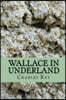 Wallace in Underland: An Urban Fantasy - With Illustrations by the Author