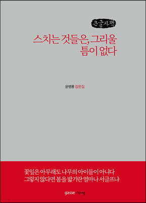 스치는 것들은, 그리울 틈이 없다 (큰글씨책)