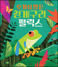 호기심 많은 청개구리 펠릭스