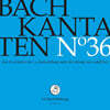 Rudolf Lutz 바흐: 칸타타 36집 (Bach: Kantaten No. 36 - BWV176, 155, 126)