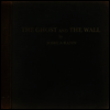 Joshua Radin - The Ghost And The Wall (LP)