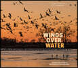 Wings Over Water: The Vital Magic of North America's Prairie Wetlands