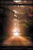 The Quiet Light: In Search of Carolina's Lost Treasure - A Carli Owens Adventure