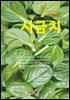 시금치 : 농업기술길잡이