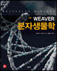 Weaver 분자생물학
