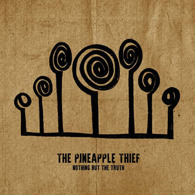 The Pineapple Thief (파인애플 씨프) - Nothing But The Truth [2LP]