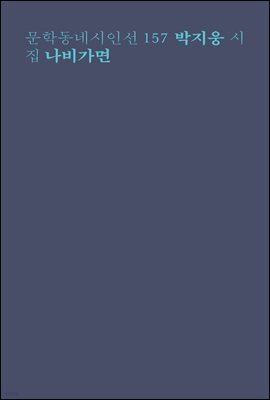 나비가면 - 문학동네시인선 157